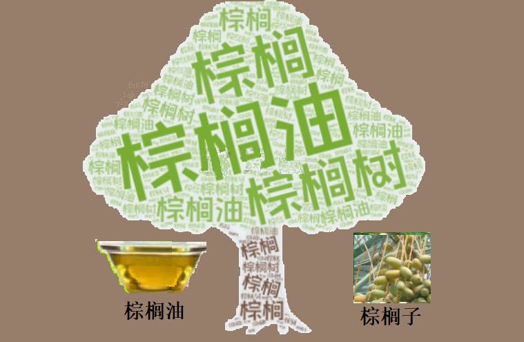 XM:棕榈油“月度防线”告破：当停火协议撞上生物柴油预期，溢价回归还是底部坍塌？